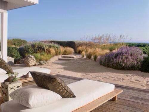 Design ideas for a transitional landscaping in Chicago.
