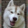 gary_cohen17