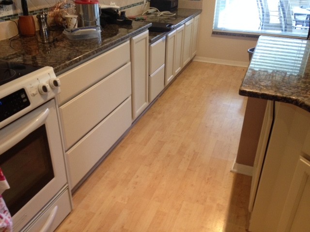 Ed's Kitchen Recolor White Lambskin