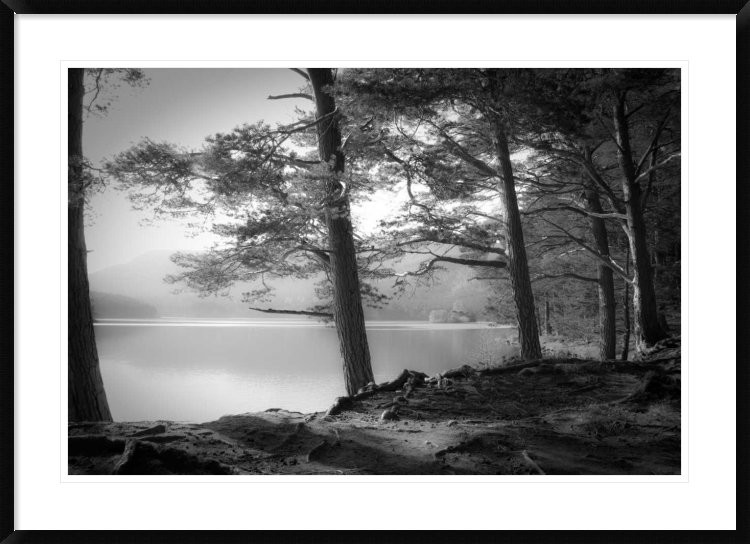 "Loch An Eilein" Framed Digital Print by Dorit Fuhg, 44x32"