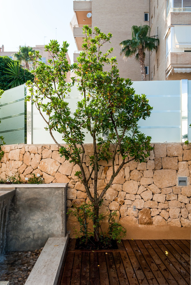 Contemporary garden in Alicante-Costa Blanca.