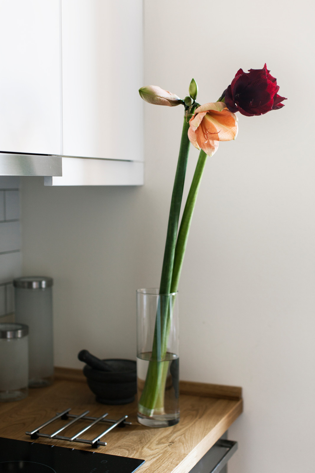 Тима/ Леся/  Пражская