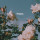 webuser_159712605