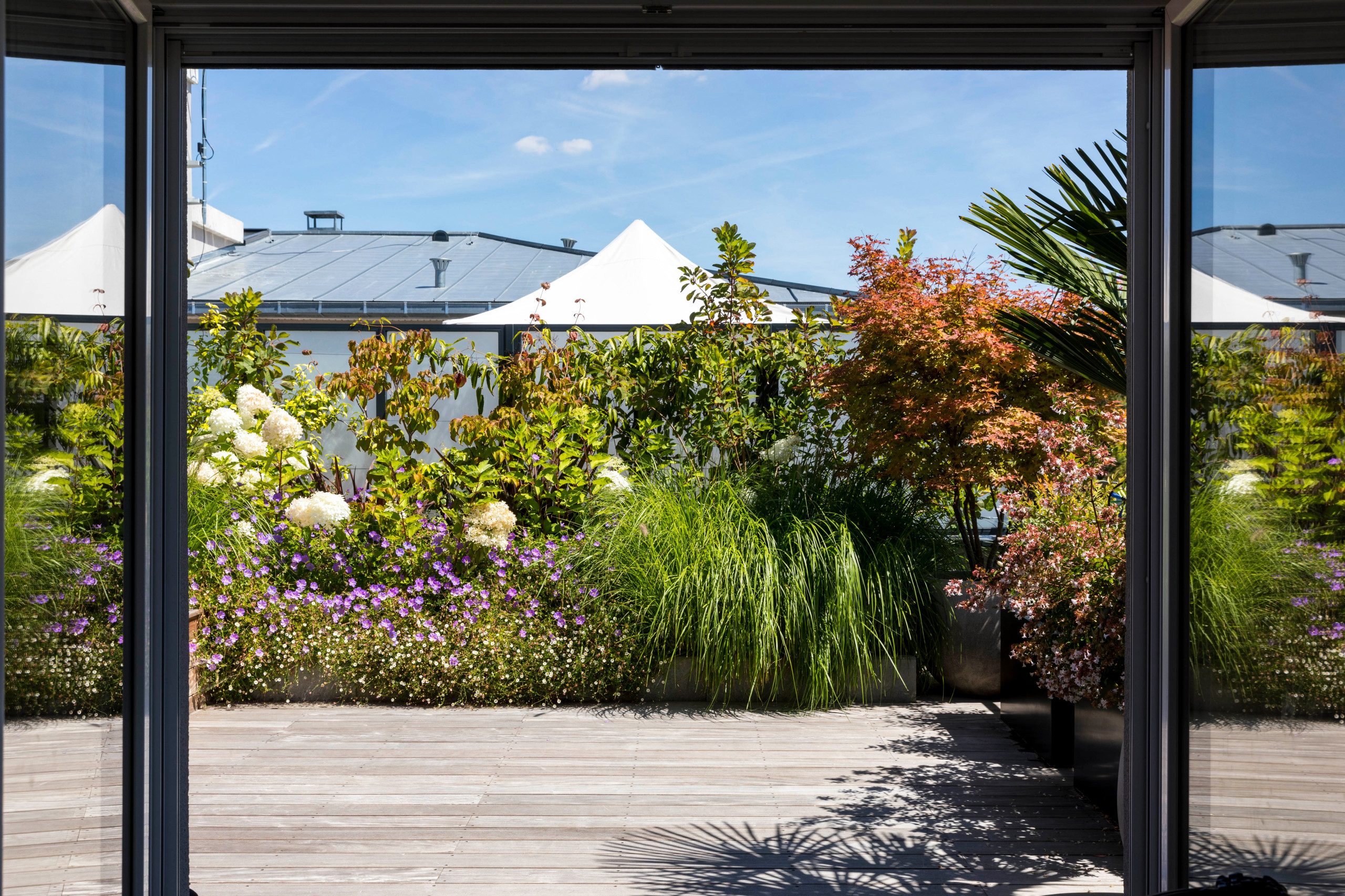 une terrasse foisonnante!