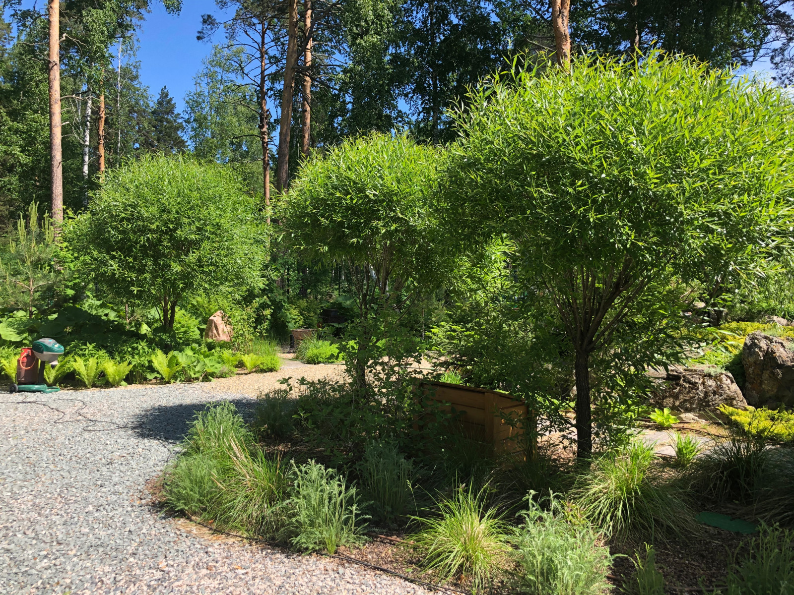 Усадьба на краю леса