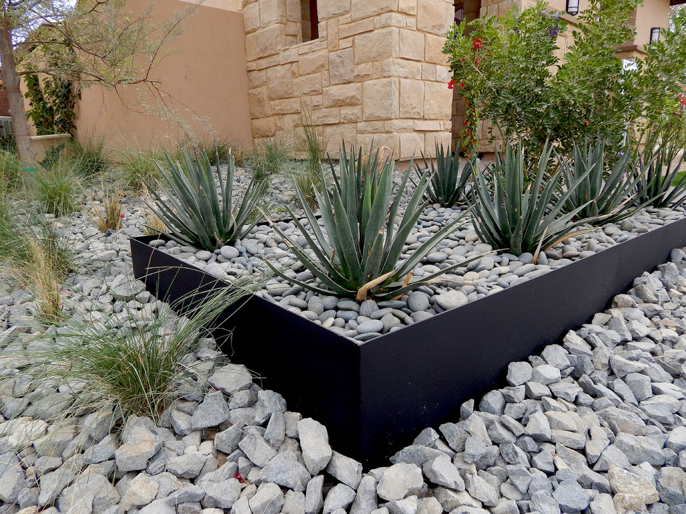 Photo of a large front yard shaded xeriscape in Phoenix with a garden path and gravel.