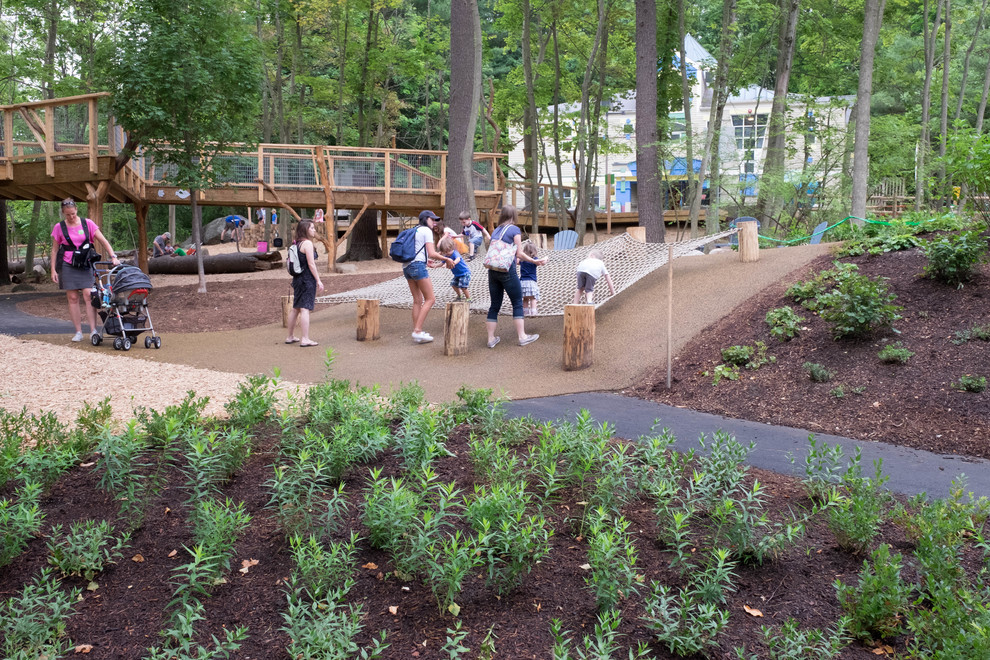 Discovery Woods