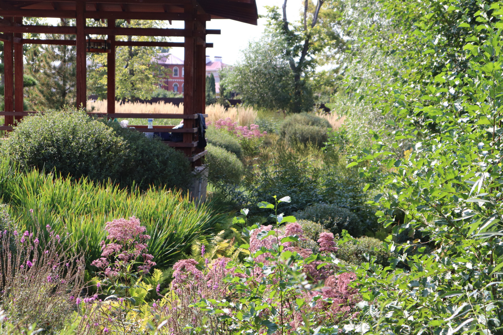 WB Берег пруда (август)