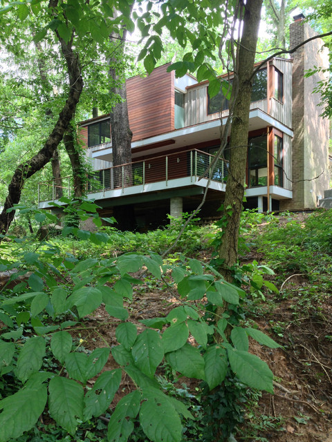 treehouse modern-fasad
