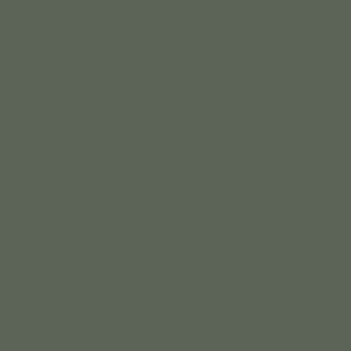 Pewter Green - Contemporary - Paint - by Sherwin-Williams
