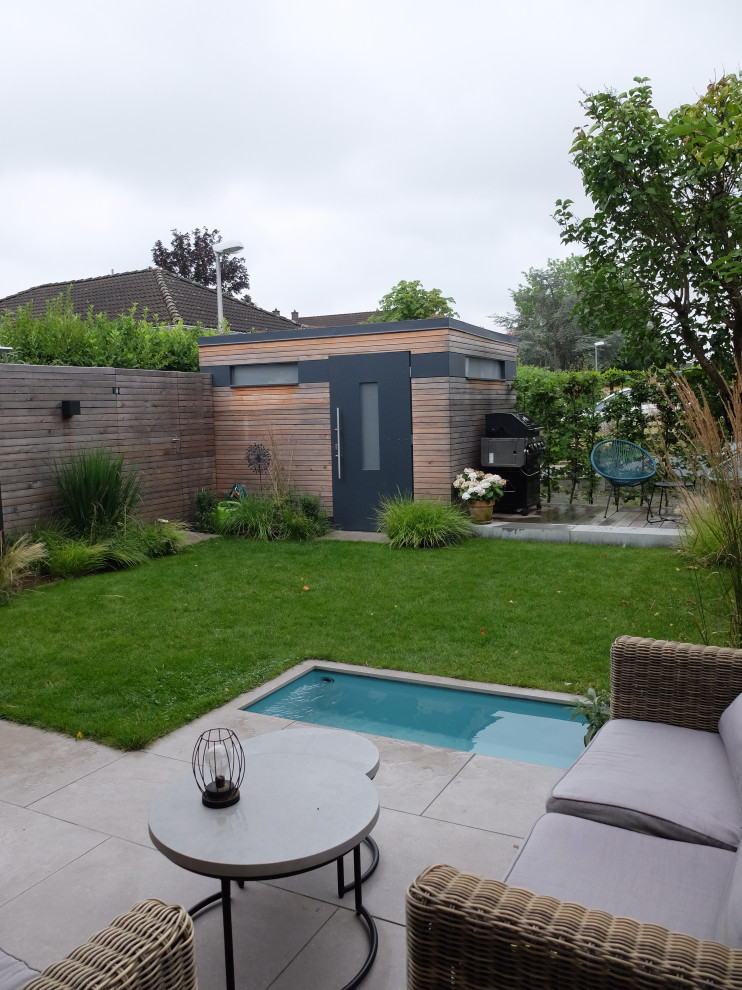 Kleiner, Geometrischer Moderner Garten neben dem Haus mit Sichtschutz, direkter Sonneneinstrahlung, Betonboden und Holzzaun in Bonn