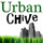 Urban Chive