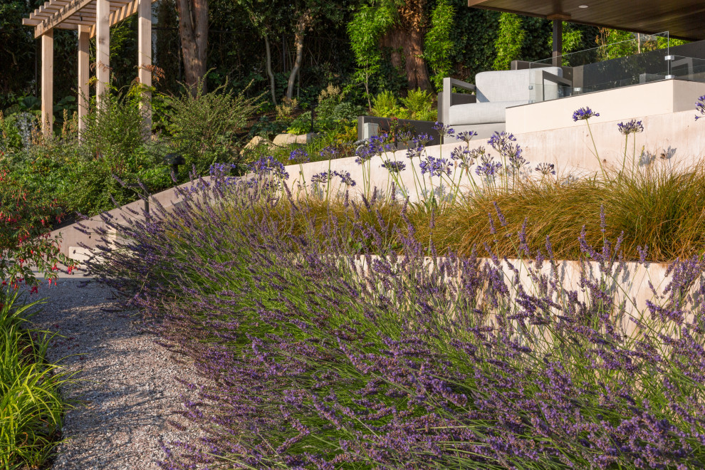 Cette image montre un grand jardin à la française design l'été avec un chemin, une exposition ensoleillée, une pente, une colline ou un talus, du gravier et une clôture en métal.