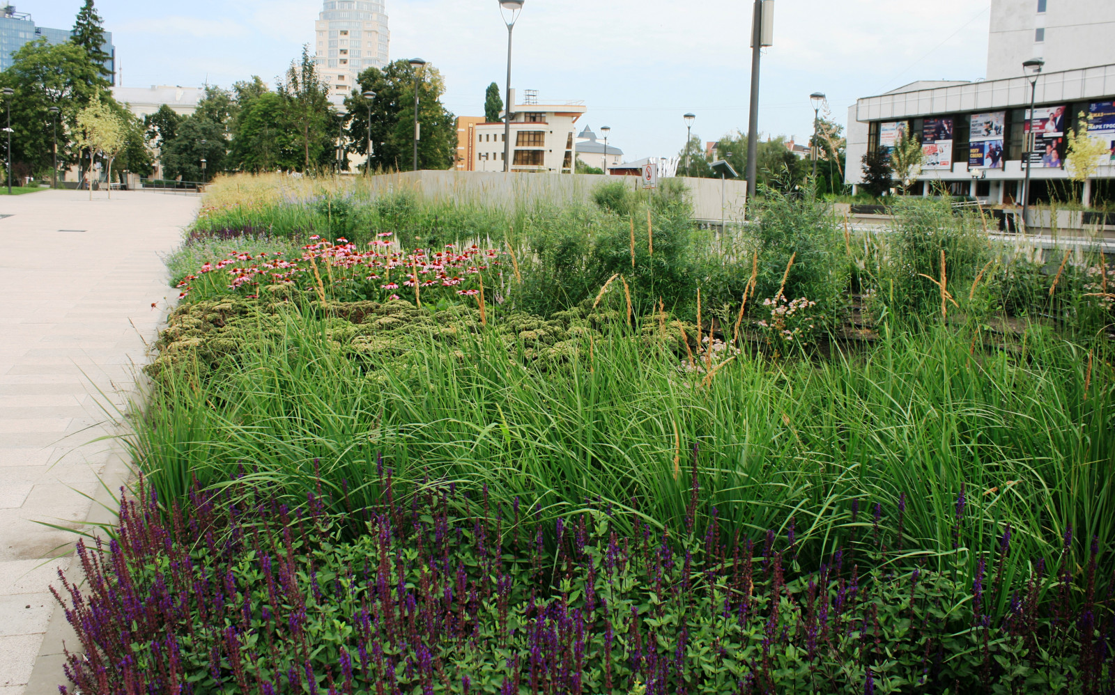 Цветники Советской площади