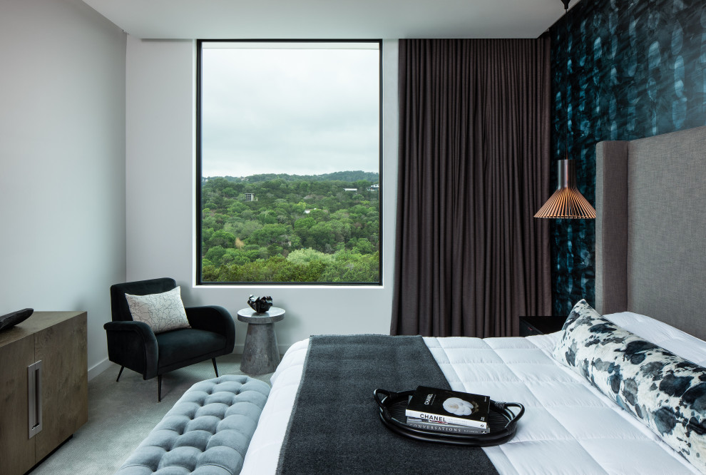 Design ideas for a contemporary bedroom in Austin.