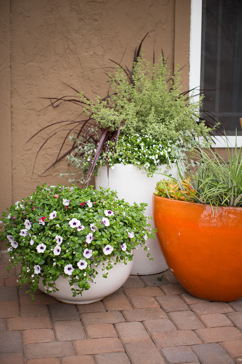 How To Spray Paint Terra Cotta Clay Flower Pots - Petticoat Junktion