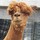 marygrace_staton