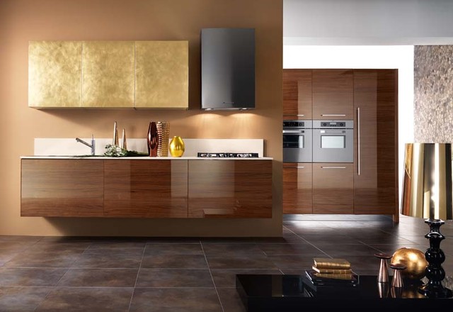 Contemporary Kitchen Cabinet san diego contemporary kitchen design and cabinets Contemporary Kitchen Cabinet san diego contemporary kitchen design and cabinets