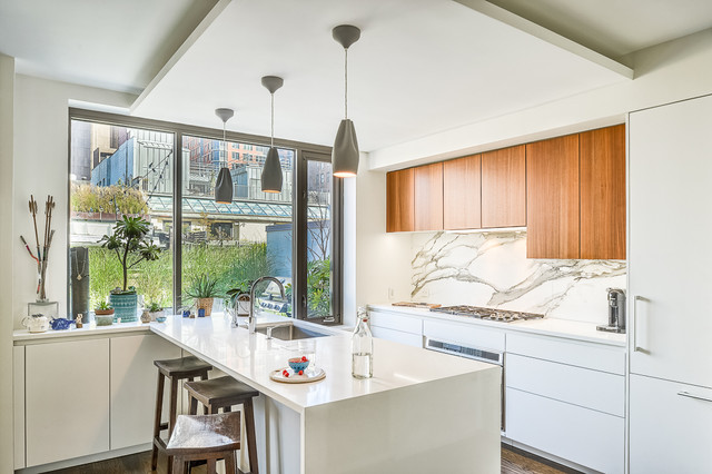 Baum modern-kitchen