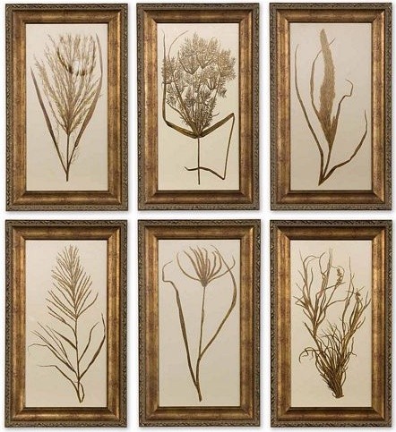 Uttermost Wheat Grass I, Ii, Iii, Iv, V, Vi - S/6