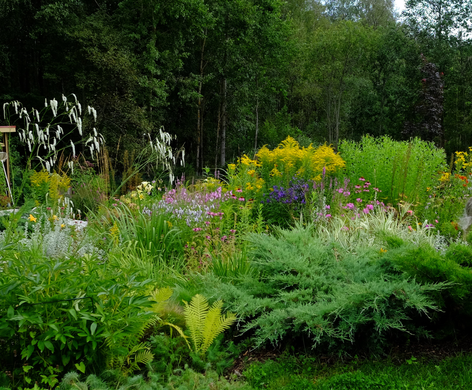Зеркальный Ландшафтное проектирование