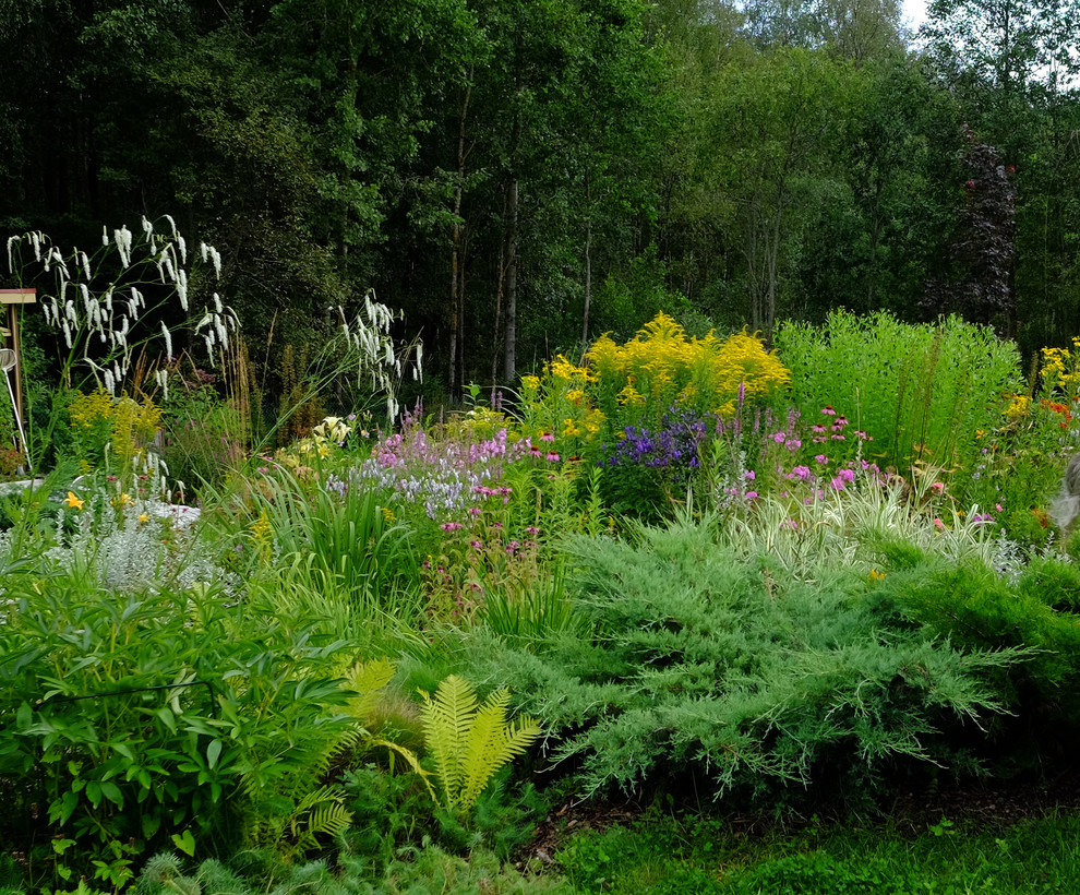 Зеркальный Ландшафтное проектирование