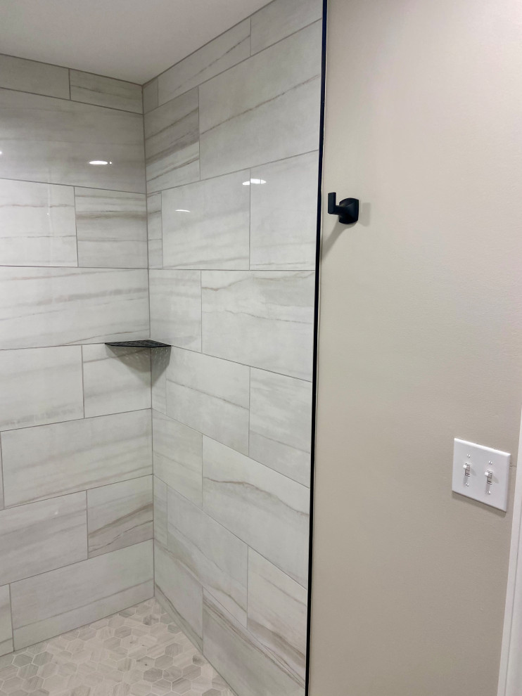 South Wheaton Basement bathroom