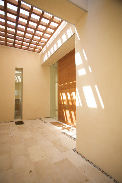 Front Entry contemporary-entre