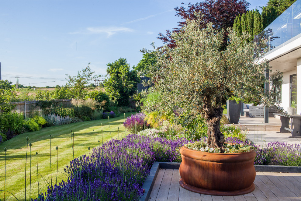 The Container Bar Garden Contemporary Landscape Hampshire by