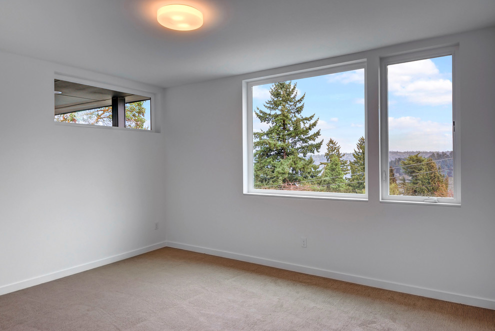 Lake Washington Modern