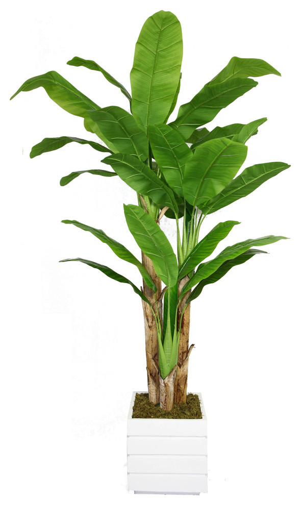 Artificial Faux Plastic 78" Tall Banana Tree With Real Touch Leaves and