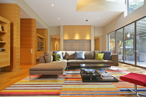 Living Room Rug Design
