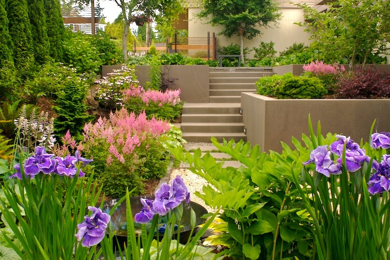 Inspiration for a mid-sized asian backyard formal garden in Portland with a garden path and gravel.