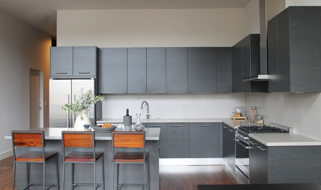West Loop Penthouse contemporary-kitchen
