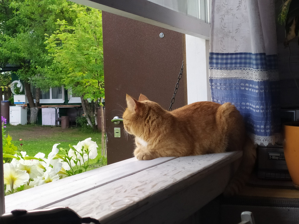 Домик в Жулановском