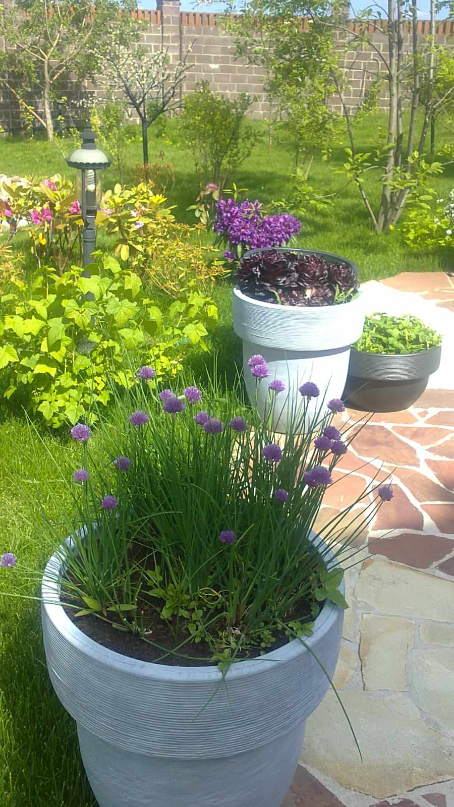 Наши работы