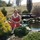 Last commented by Regina Baker Hosterman