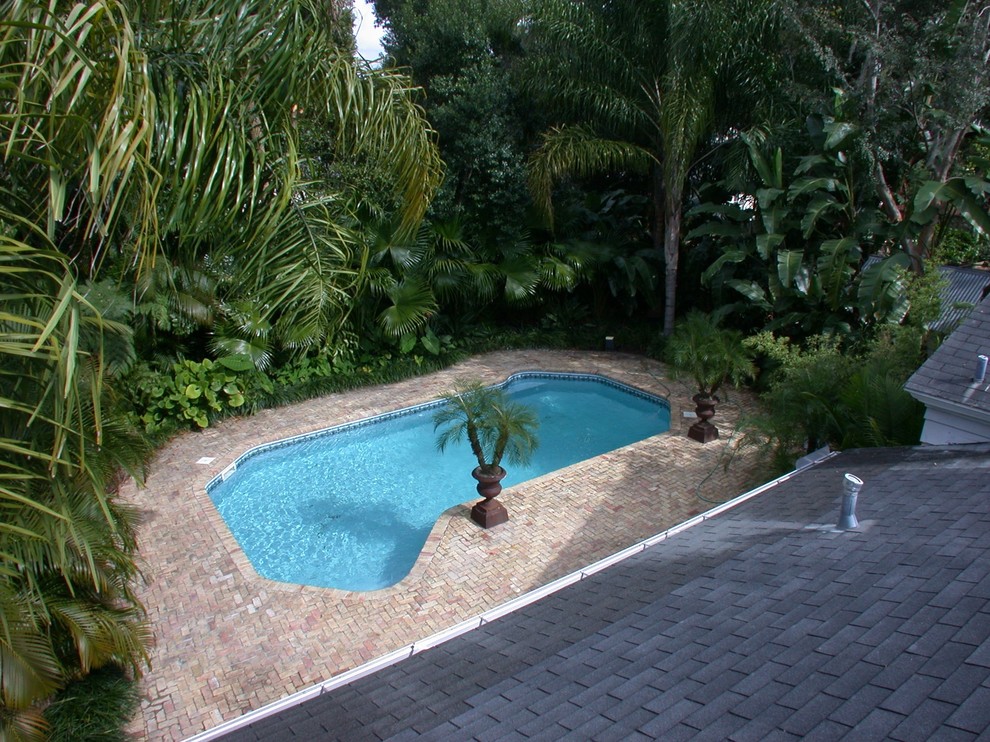 Example of a transitional pool design in Orlando