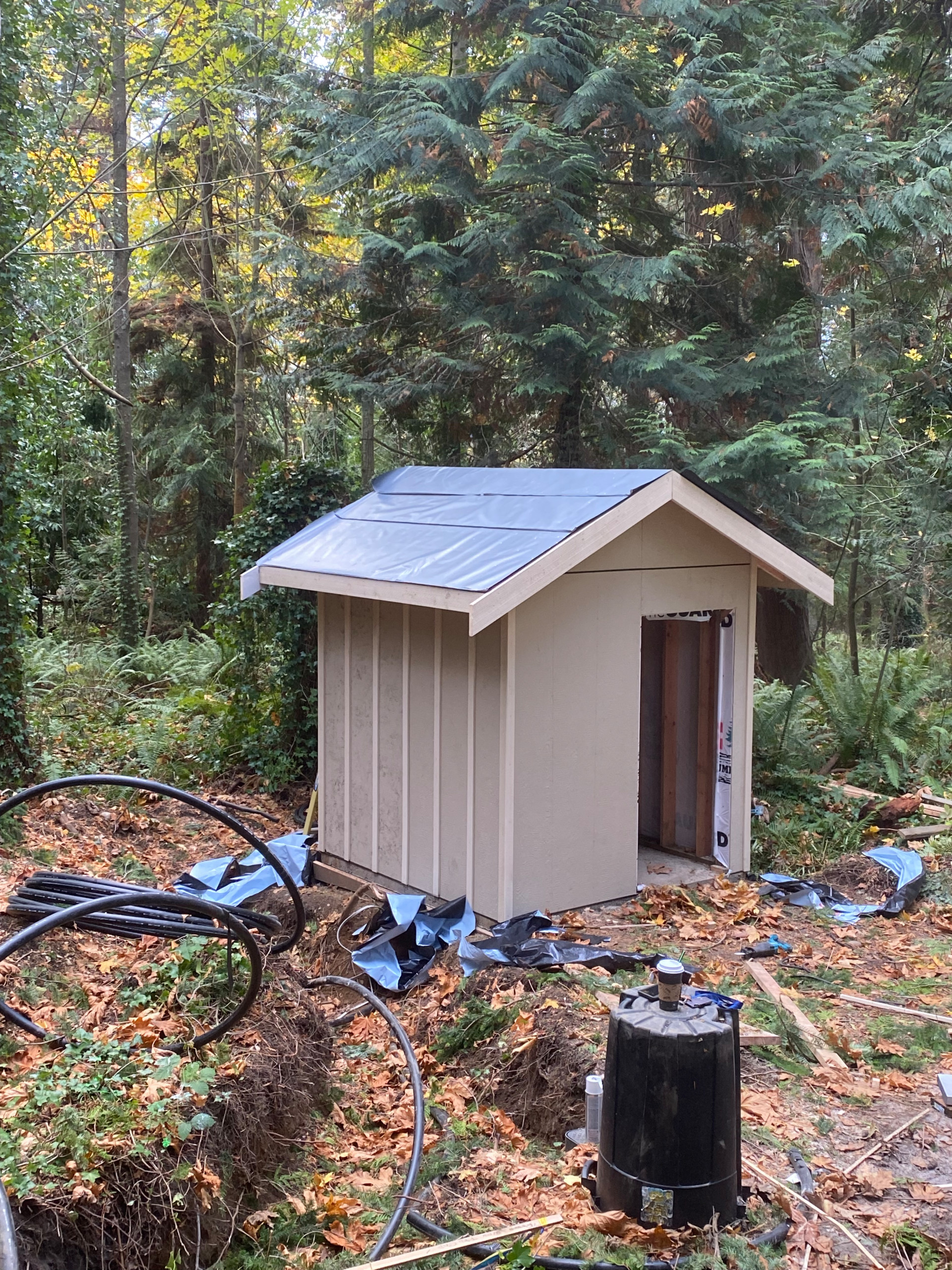 Camano Pumhouse In The Woods