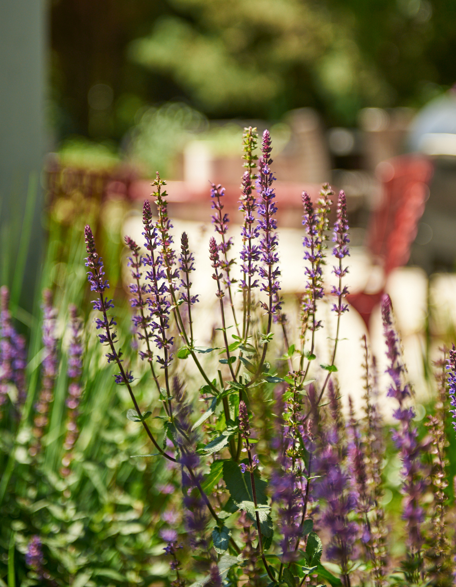 Traditional Backyard + Patio Landscape - Cedarburg, WI