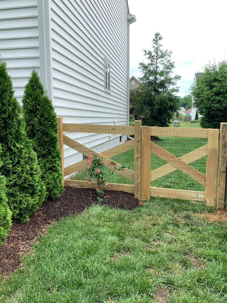 How do I secure/train honeysuckle?