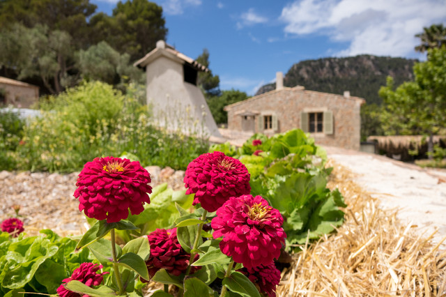 Valldemossa middelhavsstil-have