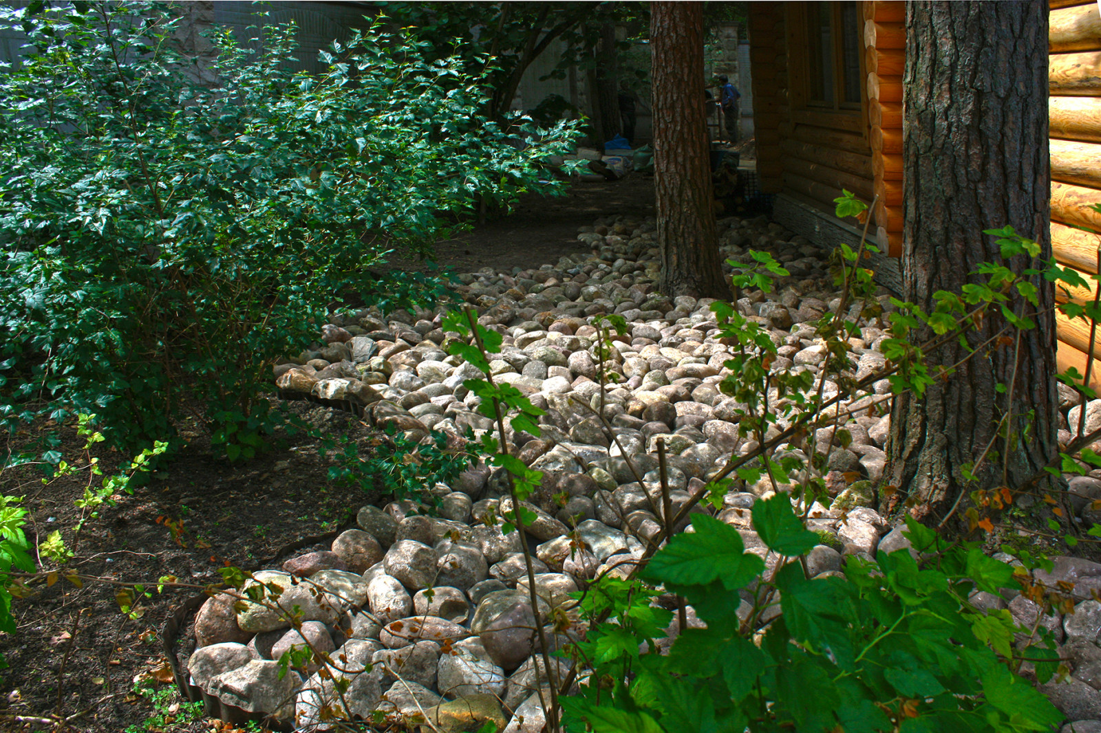 Дизайн сада 25 соток с уклоном и лесными деревьями.