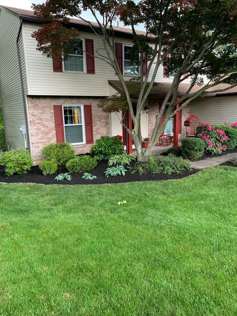 Softscape Projects