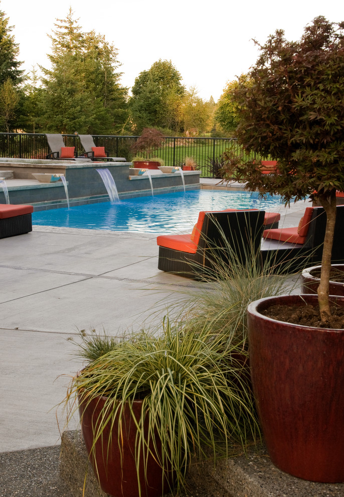 This is an example of a contemporary rectangular pool in Seattle.