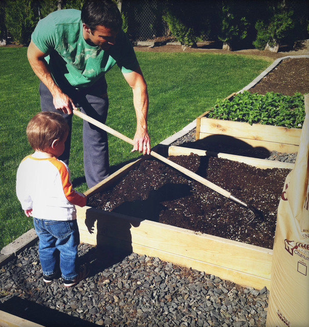 How to Make a Raised Garden Bed | Houzz