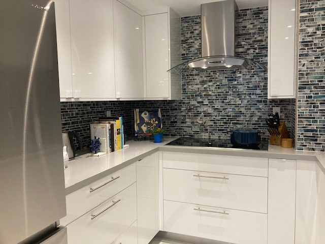 Modern Kitchen Remodel in Sunny Isles