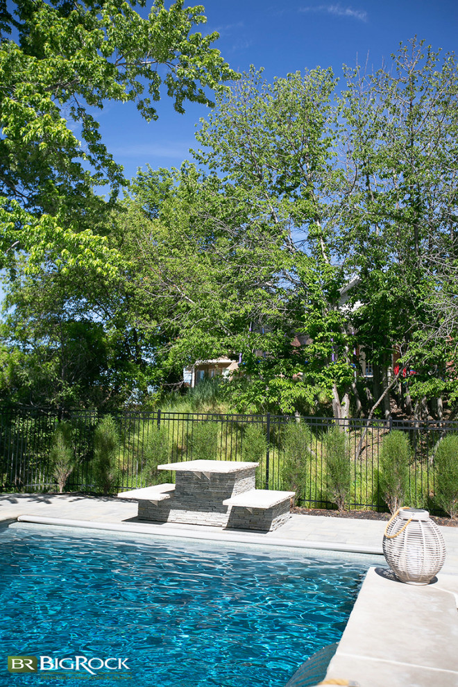 Esempio di una piscina contemporanea rettangolare dietro casa con paesaggistica bordo piscina e pavimentazioni in pietra naturale