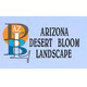 Arizona Desert Bloom Landscape