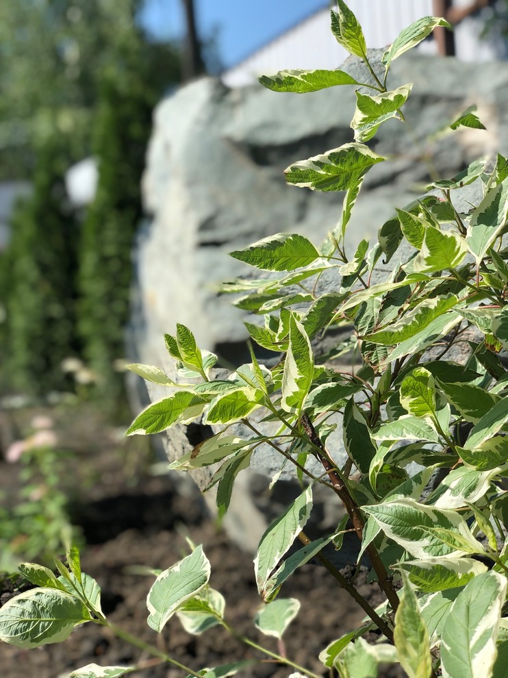 Привет, станица!